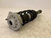 8W0413031AA Federbein rechts vorne AUDI A4 (8W, B9) 35 TFSI Mild Hybrid 110 kW