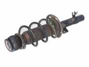 Federbein rechts vorne VW Up (AA) 1.0 44 kW 60 PS (08.2011-> ) 1S0413031B