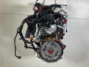 Motor Moteur Engine Komplett FORD Transit V363 NEU N0HA BLFB