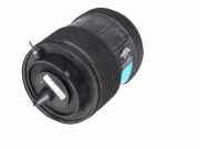 Federbein VW Touareg III (CR7) 3.0 TDI 4motion 170 kW 231 PS (05.2018-> ) 4M46