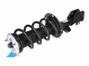 Federbein VW Crafter Kasten (SY, SX) 2.0 TDI 75 kW 102 PS (10.2016-> ) (ab 10/2016)