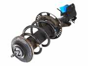 Federbein VW Transporter T7 Multivan 1.5 TSI 100 kW 136 PS (10.2021-> ) 7T0413