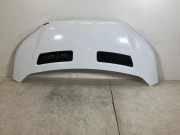 Motorhaube FORD Transit V363 Pritsche/Fahrgestell (FED, FFD) 2.0 TDCi 125 kW 1