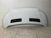 Motorhaube FORD Transit V363 2.0 TDCi 125 kW 1