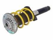 Federbein links vorne BMW 3er Touring (F31) 330d 190 kW 258 PS (07.2012-> ) (ab 07/2012)