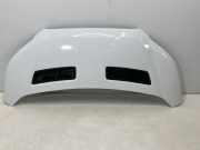 Motorhaube FORD Transit V363 Pritsche/Fahrgestell (FED, FFD) 2.0 TDCi 125 kW 1