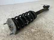 Federbein links vorne MERCEDES-BENZ C-Klasse (W205) C 200 BLUETEC 100 kW 136 P