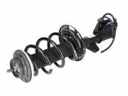 Federbein VW Transporter T6 Bus/Caravelle 2.0 TDI 110 kW 150 PS (04.2015-> ) 7