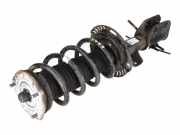 Federbein VW Crafter Kasten (SY, SX) 2.0 TDI 75 kW 102 PS (10.2016-> ) 2N04130