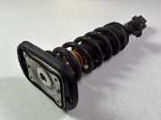 Federbein links hinten BMW X6 (G06, F96) M 441 kW 600 PS (12.2019-> ) 9500365