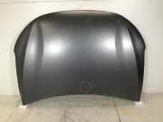 Motorhaube HYUNDAI Nexo FCEV 120 kW 163 PS (03.2018-> ) 66400-M5000