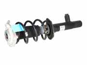 Federbein VW ID.4 (E21) Performance 150 kW 204 PS (05.2020-> ) 1EA413032P
