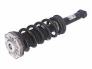 Federbein links hinten BMW X3 (G01, F97) xDrive 20d 140 kW 190 PS (08.2017-> ) (ab 08/2017)