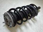 Federbein links vorne MAXUS Deliver 9 Kasten 2.0 D 109 kW 148 PS (01.2022-> )