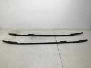 Dachreling BMW X7 (G07) xDrive 40d Mild-Hybrid 250 kW 340 PS (03.2019-> ) 2455