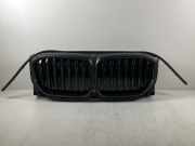 Kühlergrill BMW X5 (G05, F95) 50e Plug-in-Hybrid xDrive 360 kW 489 PS (04.2023