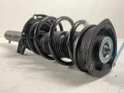 3Q0413031BP Federbein VW Tiguan I (5N) 2.0 TSI 4motion 132 kW 180 PS (05.2011-