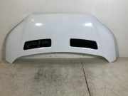 Motorhaube FORD Transit V363 Pritsche/Fahrgestell (FED, FFD) 2.0 TDCi 125 kW 1