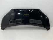 Motorhaube FORD Transit V363 Pritsche/Fahrgestell (FED, FFD) 2.0 TDCi 125 kW 1