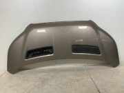 Motorhaube FORD Transit V363 2.0 TDCi 125 kW 1