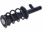 Federbein VW Golf VIII (CD) 1.0 TSI 66 kW 90 PS (02.2020-> ) (ab 02/2020)