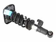 Federbein links hinten BMW X6 (G06, F96) xDrive 40i 250 kW 340 PS (08.2019-> )