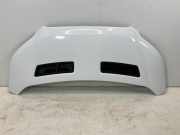 Motorhaube FORD Transit V363 Pritsche/Fahrgestell (FED, FFD) 2.0 TDCi 125 kW 1