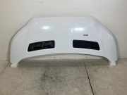 Motorhaube FORD Transit V363 Pritsche/Fahrgestell (FED, FFD) 2.0 TDCi 125 kW 1