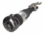 Federbein VW Touareg III (CR7) 3.0 TDI 4motion 170 kW 231 PS (05.2018-> ) 4M46