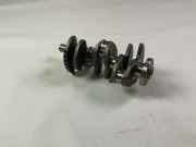 Kurbelwelle FORD Fiesta VII (HJ, HF) 1.0 EcoBoost 63 kW 85 PS (04.2018-> ) T46