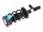 Federbein VW Passat B8 (3G) 2.0 TDI 110 kW 150 PS (11.2014-> ) 3Q0413032A