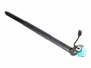 Heckklappendämpfer links BMW X6 (G06, F96) xDrive 40d Mild-Hybrid 250 kW 340 P