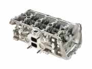 Zylinderkopf AUDI Q5 (FY) 50 TFSI e quattro 185 kW 252 PS (04.2019-11.2020)