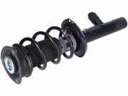 Federbein VW Golf VIII (CD) 2.0 TSI R 4motion 235 kW 320 PS (09.2020-> ) (ab 09/2020)