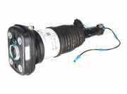 Federbein links hinten BMW X6 (G06, F96) xDrive 40d Mild-Hybrid 250 kW 340 PS
