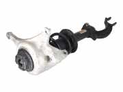 8T0413031AG Federbein links vorne AUDI A5 (8T) RS 5 quattro 331 kW 450 PS (03.