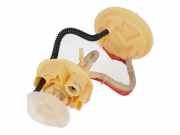 Kraftstoffpumpe AUDI Q7 (4M) 45 TDI Mild Hybrid quattro 170 kW 231 PS (07.2018