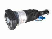 Federbein links hinten BMW X5 (G05, F95) 50e Plug-in-Hybrid xDrive 360 kW 489