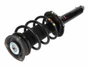 Federbein links rechts vorne VW Tiguan II (AD)