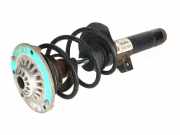 Federbein links vorne BMW 3er Touring (F31) 320d xDrive 135 kW 184 PS (01.2012-06.2015) (01/2012-06/2015)