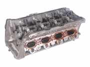 Zylinderkopf VW Polo VI (AW) 2.0 GTI 147 kW 200 PS (11.2017-> )