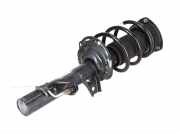 Federbein VW Tiguan I (5N) 2.0 TSI 4motion 132 kW 180 PS (05.2011-07.2018) 3Q0