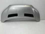 Motorhaube FORD Transit V363 Pritsche/Fahrgestell (FED, FFD) 2.0 TDCi 125 kW 170 PS (03.2016-> ) (ab 03/2016)