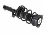 Federbein VW Tiguan I (5N) 2.0 TSI 4motion 132 kW 180 PS (05.2011-07.2018) 5R3