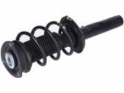 Federbein links rechts vorne VW Tiguan II 2 (AD)