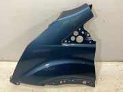 Kotflügel links vorne FORD Transit V363 Pritsche/Fahrgestell (FED, FFD) 2.0 TDCi