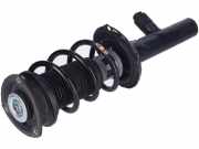 Federbein links rechts vorne VW Golf VIII (CD)