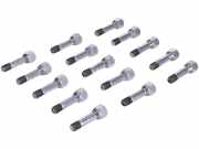 Radbolzensatz FERRARI 458