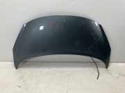 7901N2 Motorhaube PEUGEOT 207 1.4 16V 95 VTI 70 kW 95 PS (06.2007-10.2013)