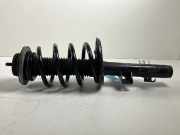 Federbein VW Transporter T5 Kasten 1.9 TDI 63 kW 86 PS (04.2003-11.2009) (04/2003-11/2009)